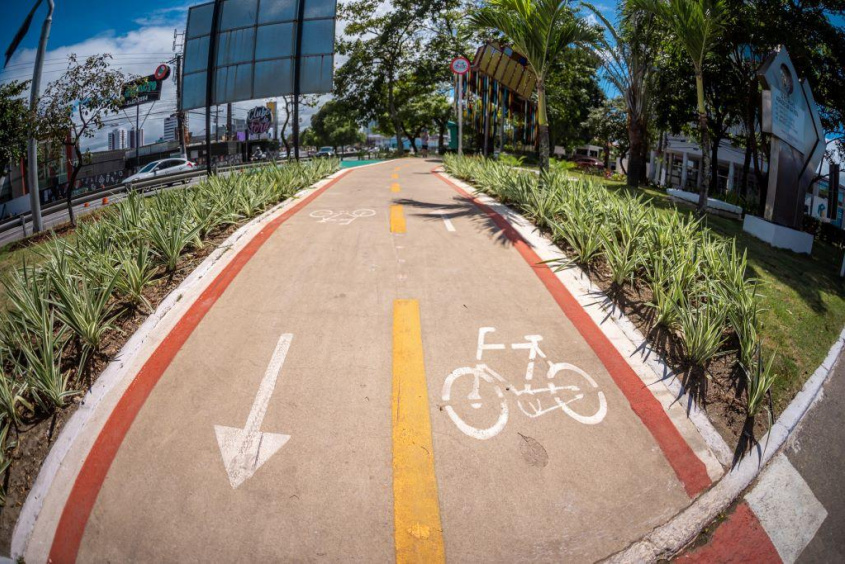 Ciclovia na Avenida Fernandes Lima. Foto: Itawi Albuquerque/Secom Maceió