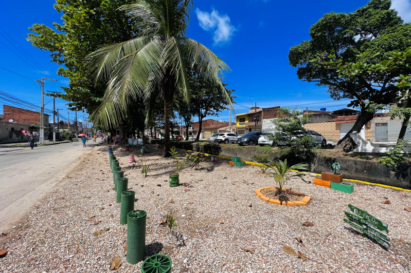 Área depois dos serviços realizados pela Prefeitura de Maceió. Foto: Ascom Alurb