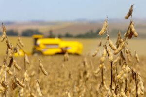 Agropecuária - plantações - soja grãos agricultura fazendas rurais campo produção máquinas agrícolas exportações PIB comércio exterior (colheita da safra 2020 de soja no Paraná)