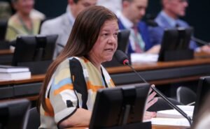 Deputada Laura Carneiro (PSD-RJ) fala em comissão da Câmara dos Deputados