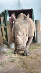 WhatsApp Image 2025-12-11 at 11.15.54 (1).jpeg