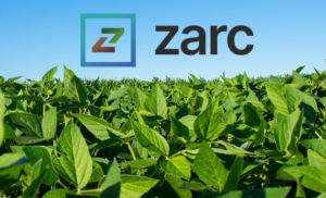 CAPA SITE - 2026-02-05T155554.645.png