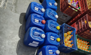 CAPA SITE - 2026-02-10T165617.711.png