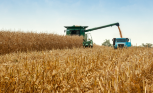 CAPA (1150 x 700 px) (2).png